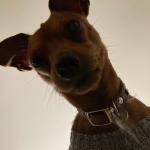 Meet your Posher, Christian